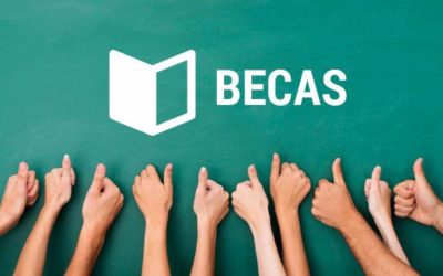 Becas y ayudas para alumnos con necesidad específica de apoyo educativo. Curso 2019-2020